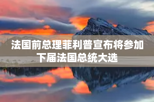 法国前总理菲利普宣布将参加下届法国总统大选