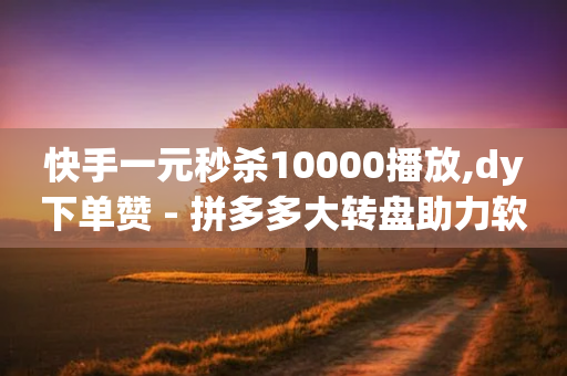 快手一元秒杀10000播放,dy下单赞 - 拼多多大转盘助力软件 - 怎样帮别人赞助拼多多商品呢