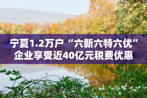 宁夏1.2万户“六新六特六优”企业享受近40亿元税费优惠-第1张图片-靖非智能科技传媒