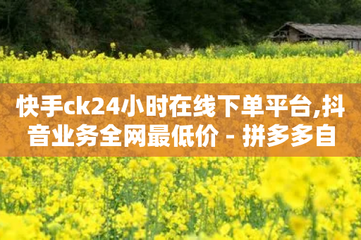 快手ck24小时在线下单平台,抖音业务全网最低价 - 拼多多自动下单软件下载 - 拼多多自动发货软件哪个好用-第1张图片-靖非智能科技传媒