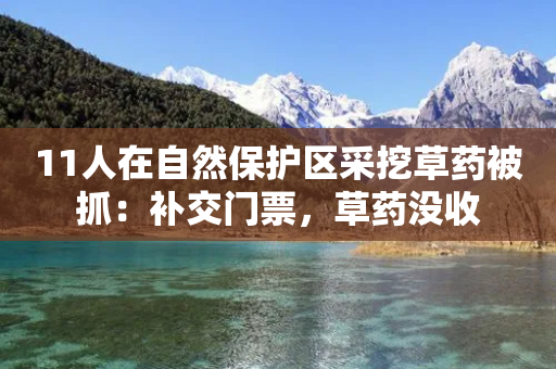 11人在自然保护区采挖草药被抓：补交门票，草药没收-第1张图片-靖非智能科技传媒