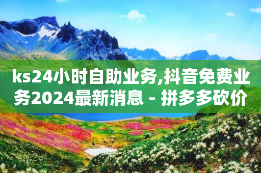 ks24小时自助业务,抖音免费业务2024最新消息 - 拼多多砍价黑科技软件 - 拼多多小号批发入口-第1张图片-靖非智能科技传媒