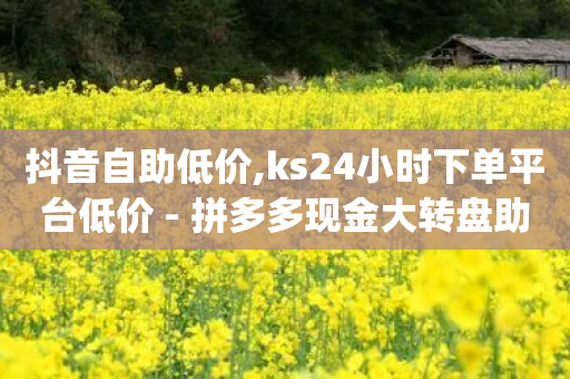 抖音自助低价,ks24小时下单平台低价 - 拼多多现金大转盘助力 - pdd助力100元要多少人