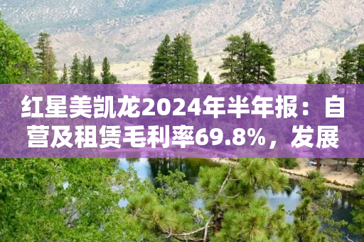 红星美凯龙2024年半年报：自营及租赁毛利率69.8%，发展韧劲凸显-第1张图片-靖非智能科技传媒