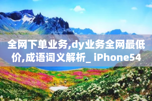 全网下单业务,dy业务全网最低价,成语词义解析_ iPhone54.67.205