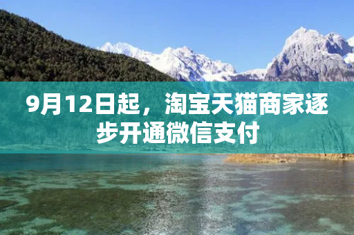 9月12日起，淘宝天猫商家逐步开通微信支付