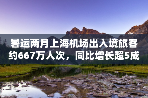 暑运两月上海机场出入境旅客约667万人次，同比增长超5成-第1张图片-靖非智能科技传媒