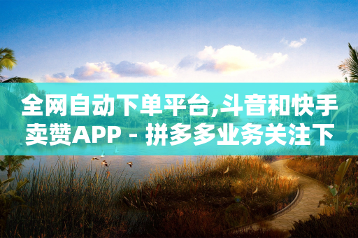 全网自动下单平台,斗音和快手卖赞APP - 拼多多业务关注下单平台入口链接 - 宝尊助力是怎样骗老年人的