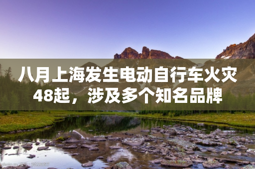 八月上海发生电动自行车火灾48起，涉及多个知名品牌-第1张图片-靖非智能科技传媒