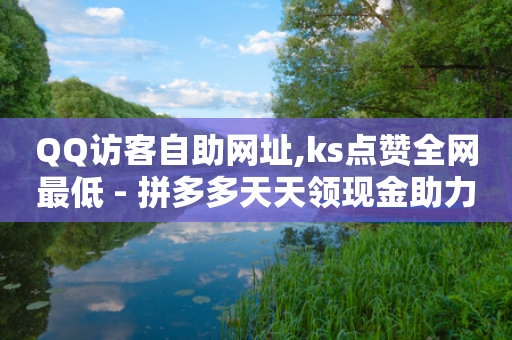 QQ访客自助网址,ks点赞全网最低 - 拼多多天天领现金助力 - 拼兔掌柜卫士是干嘛的