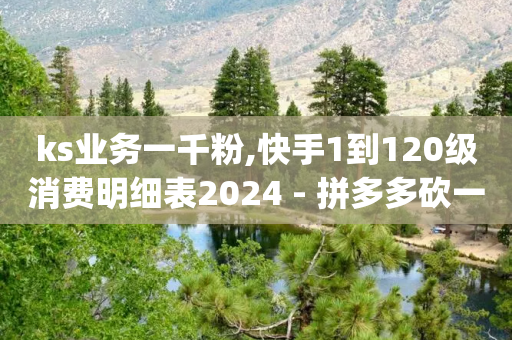 ks业务一千粉,快手1到120级消费明细表2024 - 拼多多砍一刀网站 - 拼多多助力神器赚钱app