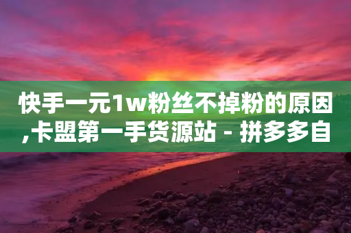 快手一元1w粉丝不掉粉的原因,卡盟第一手货源站 - 拼多多自助下单 - 闲鱼卡券省一夏-第1张图片-靖非智能科技传媒