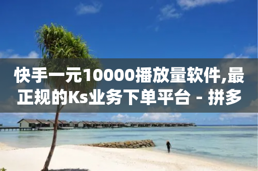 快手一元10000播放量软件,最正规的Ks业务下单平台 - 拼多多自助业务网 - pdd免费互助帮帮团