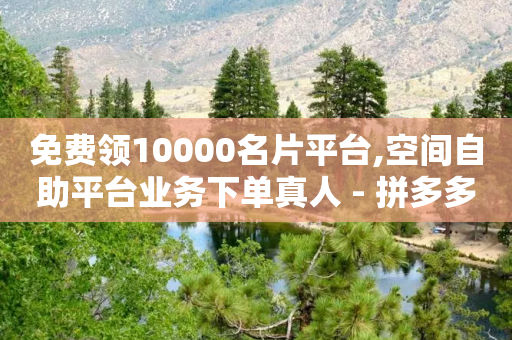 免费领10000名片平台,空间自助平台业务下单真人 - 拼多多扫码助力群 - 拼多多平台协议在哪