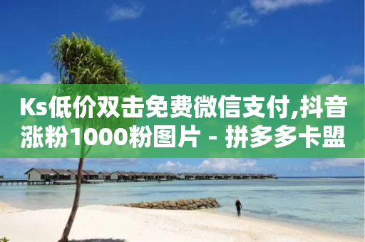 Ks低价双击免费微信支付,抖音涨粉1000粉图片 - 拼多多卡盟自助下单服务 - 彩虹云官网