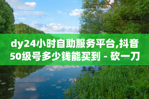 dy24小时自助服务平台,抖音50级号多少钱能买到 - 砍一刀助力平台app - 扫码助力和复制口令的区别