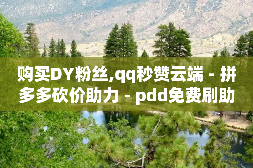 购买DY粉丝,qq秒赞云端 - 拼多多砍价助力 - pdd免费刷助力软件