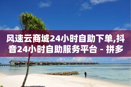 风速云商城24小时自助下单,抖音24小时自助服务平台 - 拼多多助力黑科技 - 哪个平台电商好做