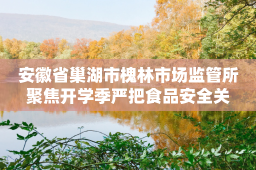 安徽省巢湖市槐林市场监管所聚焦开学季严把食品安全关-第1张图片-靖非智能科技传媒