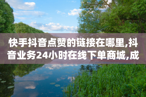 快手抖音点赞的链接在哪里,抖音业务24小时在线下单商城,成语词义解析_ iPhone34.2.95-第1张图片-靖非智能科技传媒