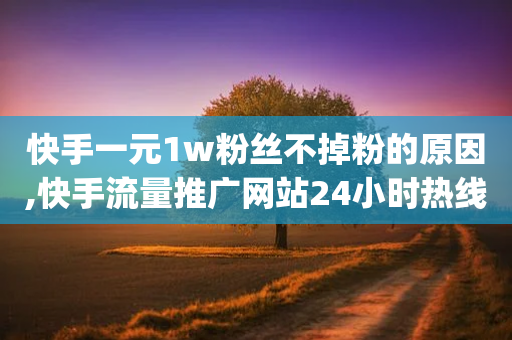 快手一元1w粉丝不掉粉的原因,快手流量推广网站24小时热线,最新答案解释落实 _ iPhone34.2.190-第1张图片-靖非智能科技传媒