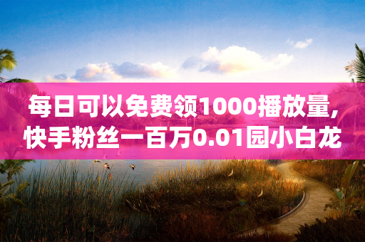 每日可以免费领1000播放量,快手粉丝一百万0.01园小白龙马山肥大地房产装修网站,结论释义解释落实 _ iPhone34.2.216-第1张图片-靖非智能科技传媒