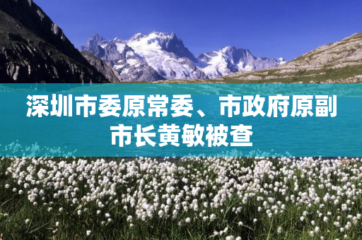 深圳市委原常委、市政府原副市长黄敏被查-第1张图片-靖非智能科技传媒