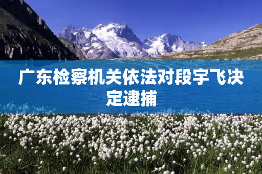 广东检察机关依法对段宇飞决定逮捕-第1张图片-靖非智能科技传媒