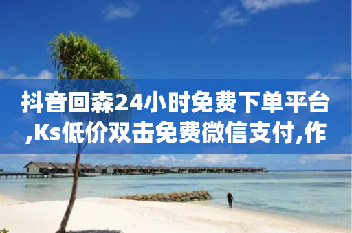 抖音回森24小时免费下单平台,Ks低价双击免费微信支付,作答解释落实 _ GM版169.322.252-第1张图片-靖非智能科技传媒