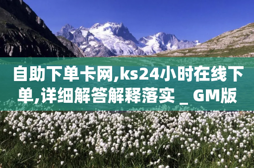 自助下单卡网,ks24小时在线下单,详细解答解释落实 _ GM版169.322.157-第1张图片-靖非智能科技传媒