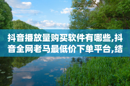 抖音播放量购买软件有哪些,抖音全网老马最低价下单平台,结论释义解释落实 _ iPhone34.2.343-第1张图片-靖非智能科技传媒