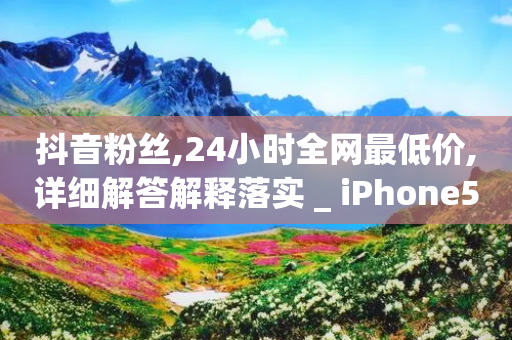 抖音粉丝,24小时全网最低价,详细解答解释落实 _ iPhone54.67.213-第1张图片-靖非智能科技传媒