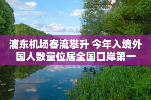 浦东机场客流攀升 今年入境外国人数量位居全国口岸第一-第1张图片-靖非智能科技传媒