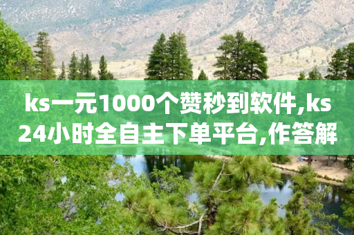 ks一元1000个赞秒到软件,ks24小时全自主下单平台,作答解释落实 _ iPad33.45.194-第1张图片-靖非智能科技传媒