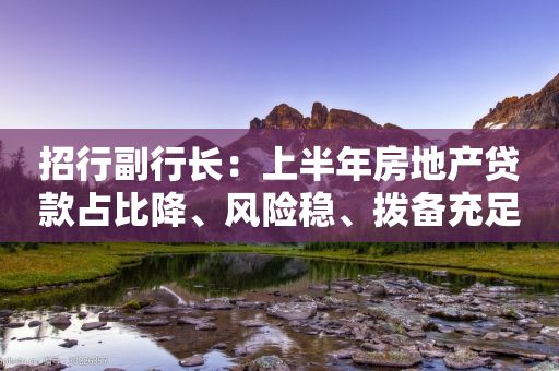 招行副行长：上半年房地产贷款占比降、风险稳、拨备充足-第1张图片-靖非智能科技传媒