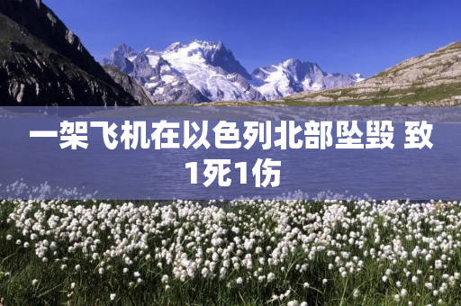 一架飞机在以色列北部坠毁 致1死1伤-第1张图片-靖非智能科技传媒