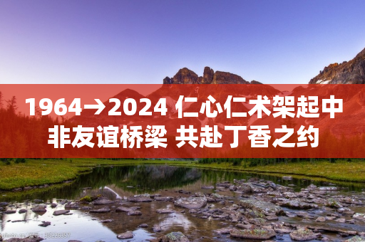 1964→2024 仁心仁术架起中非友谊桥梁 共赴丁香之约