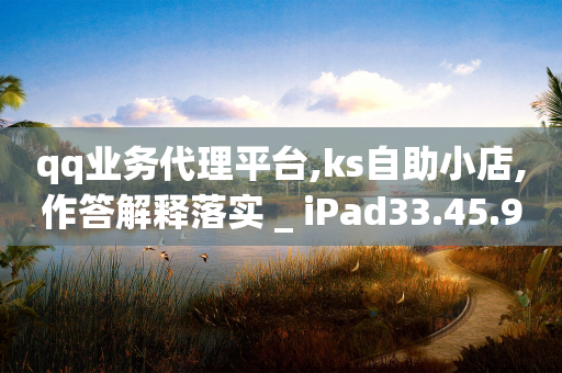 qq业务代理平台,ks自助小店,作答解释落实 _ iPad33.45.92-第1张图片-靖非智能科技传媒