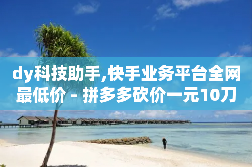 dy科技助手,快手业务平台全网最低价 - 拼多多砍价一元10刀 - 拼多多700元元宝后面还有吗-第1张图片-靖非智能科技传媒