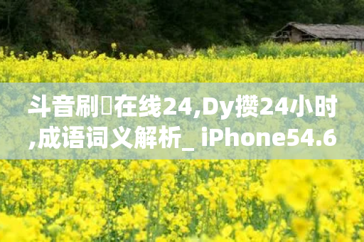 斗音刷讚在线24,Dy攒24小时,成语词义解析_ iPhone54.67.74-第1张图片-靖非智能科技传媒