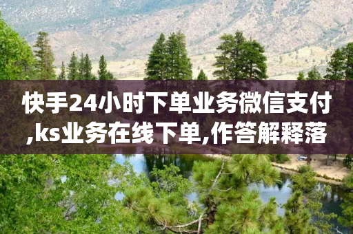 快手24小时下单业务微信支付,ks业务在线下单,作答解释落实 _ iPad33.45.107