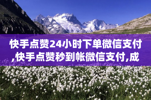 快手点赞24小时下单微信支付,快手点赞秒到帐微信支付,成语词义解析_ iPhone34.2.135-第1张图片-靖非智能科技传媒