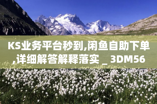 KS业务平台秒到,闲鱼自助下单,详细解答解释落实 _ 3DM56.34.39-第1张图片-靖非智能科技传媒