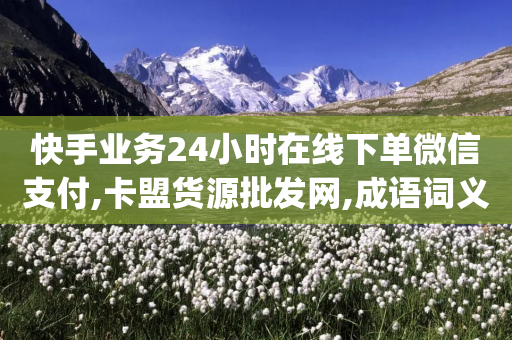 快手业务24小时在线下单微信支付,卡盟货源批发网,成语词义解析_ iPad33.45.172-第1张图片-靖非智能科技传媒