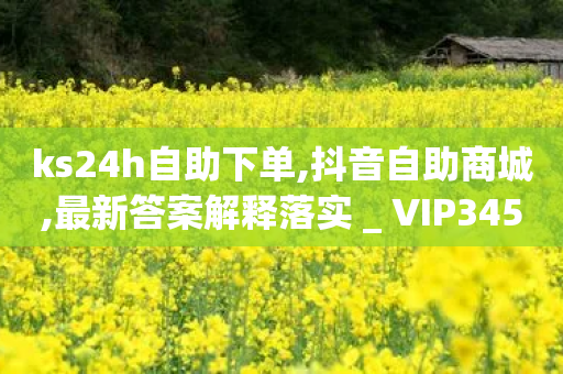 ks24h自助下单,抖音自助商城,最新答案解释落实 _ VIP345.324.65-第1张图片-靖非智能科技传媒