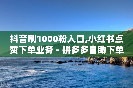 抖音刷1000粉入口,小红书点赞下单业务 - 拼多多自助下单全网最便宜 - 新用户砍价网-第1张图片-靖非智能科技传媒