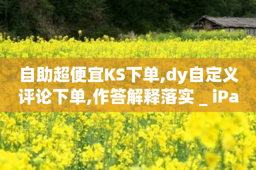 自助超便宜KS下单,dy自定义评论下单,作答解释落实 _ iPad33.45.134-第1张图片-靖非智能科技传媒