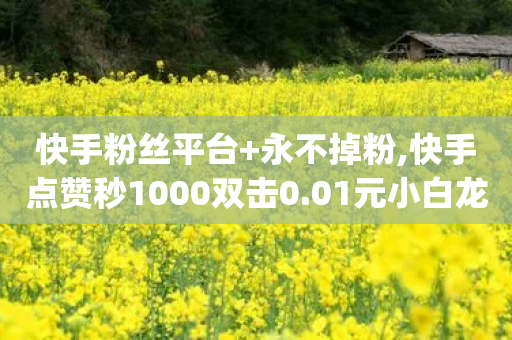 快手粉丝平台+永不掉粉,快手点赞秒1000双击0.01元小白龙马山肥大地房产装修,作答解释落实 _ iPhone54.67.53-第1张图片-靖非智能科技传媒