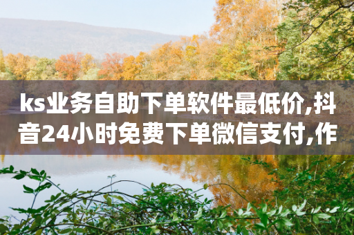 ks业务自助下单软件最低价,抖音24小时免费下单微信支付,作答解释落实 _ IOS89.32.210