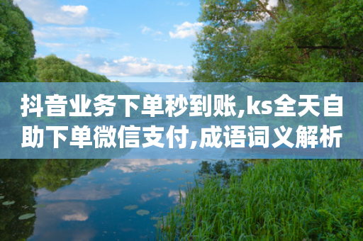 抖音业务下单秒到账,ks全天自助下单微信支付,成语词义解析_ GM版169.322.198-第1张图片-靖非智能科技传媒